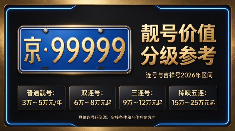 北京新能源车与牌照展示